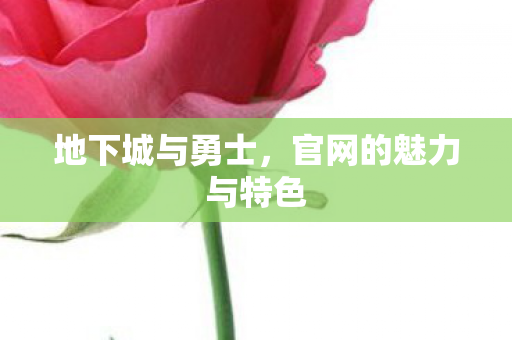 地下城与勇士,官网的魅力与特色 地下城与勇士,官网的魅力与特色
