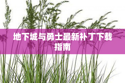 地下城与勇士最新补丁下载指南