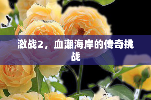 激战2,血潮海岸的传奇挑战 激战2,血潮海岸的传奇挑战