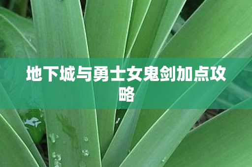 地下城与勇士女鬼剑加点攻略 地下城与勇士女鬼剑加点攻略