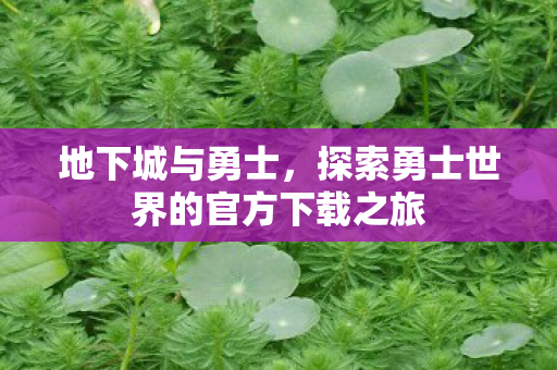地下城与勇士,探索勇士世界的官方下载之旅 地下城与勇士,探索勇士世界的官方下载之旅