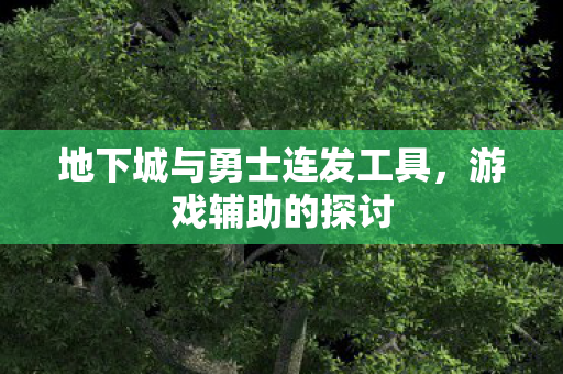 地下城与勇士连发工具,游戏辅助的探讨 地下城与勇士连发工具,游戏辅助的探讨