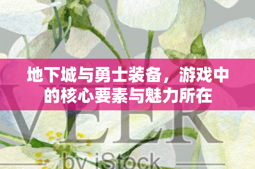 地下城与勇士装备,游戏中的核心要素与魅力所在 地下城与勇士装备,游戏中的核心要素与魅力所在