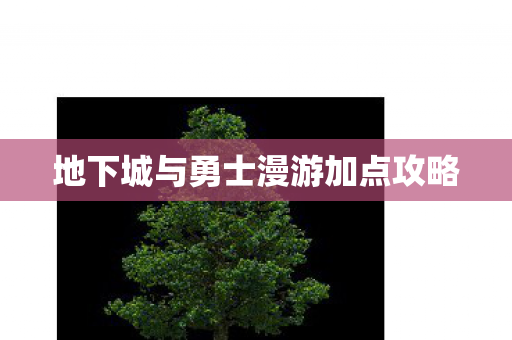 地下城与勇士漫游加点攻略 地下城与勇士漫游加点攻略