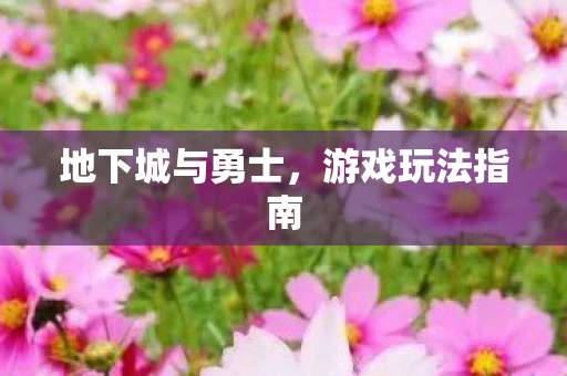 地下城与勇士,游戏玩法指南 地下城与勇士,游戏玩法指南