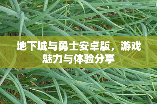 地下城与勇士安卓版,游戏魅力与体验分享 地下城与勇士安卓版,游戏魅力与体验分享