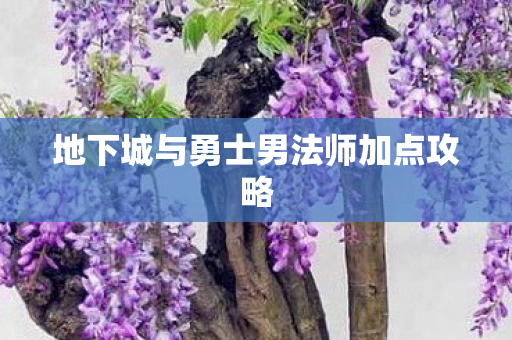 地下城与勇士男法师加点攻略 地下城与勇士男法师加点攻略