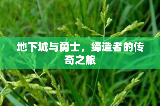 地下城与勇士，缔造者的传奇之旅