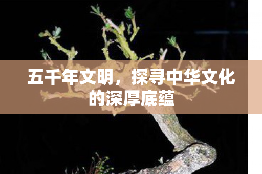 五千年文明,探寻中华文化的深厚底蕴 五千年文明,探寻中华文化的深厚底蕴
