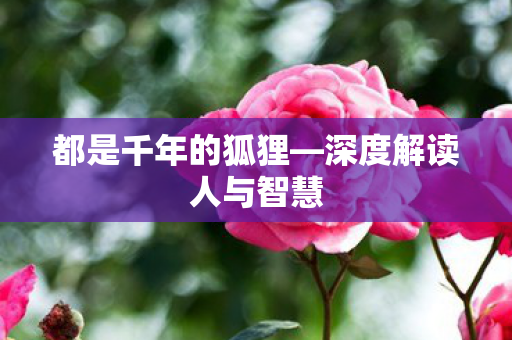 都是千年的狐狸—深度解读人与智慧 都是千年的狐狸—深度解读人与智慧