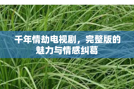 千年情劫电视剧,完整版的魅力与情感纠葛 千年情劫电视剧,完整版的魅力与情感纠葛