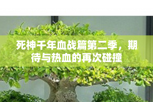 死神千年血战篇第二季,期待与热血的再次碰撞 死神千年血战篇第二季,期待与热血的再次碰撞