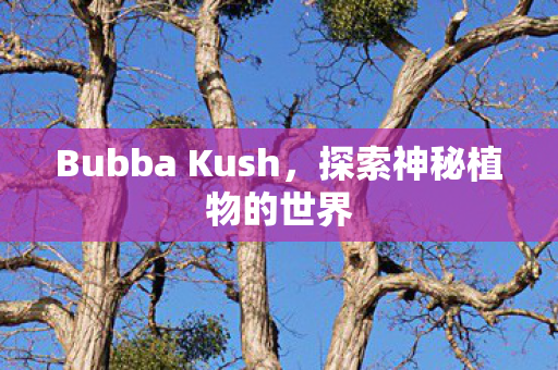 Bubba Kush,探索神秘植物的世界 Bubba Kush,探索神秘植物的世界