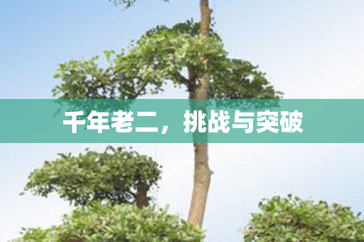 千年老二,挑战与突破 千年老二,挑战与突破