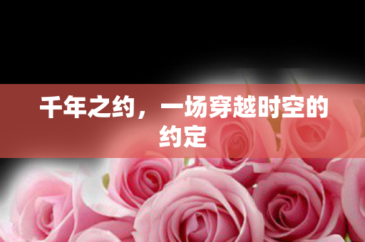 千年之约,一场穿越时空的约定 千年之约,一场穿越时空的约定
