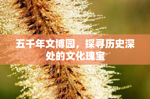 五千年文博园,探寻历史深处的文化瑰宝 五千年文博园,探寻历史深处的文化瑰宝