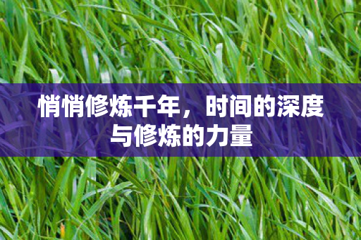 悄悄修炼千年,时间的深度与修炼的力量 悄悄修炼千年,时间的深度与修炼的力量