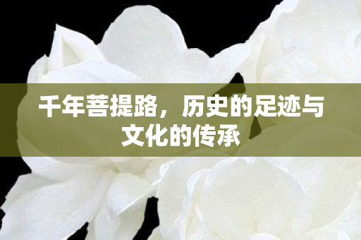 千年菩提路，历史的足迹与文化的传承