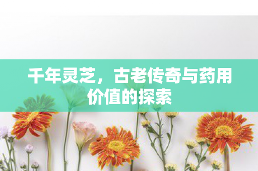 千年灵芝,古老传奇与药用价值的探索 千年灵芝,古老传奇与药用价值的探索