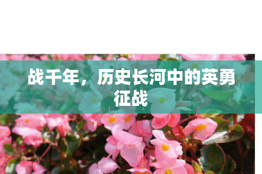 战千年,历史长河中的英勇征战 战千年,历史长河中的英勇征战