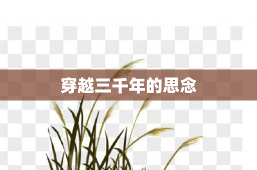 穿越三千年的思念 穿越三千年的思念