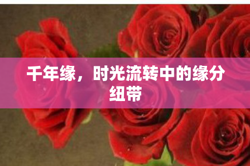 千年缘,时光流转中的缘分纽带 千年缘,时光流转中的缘分纽带