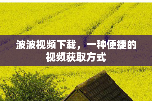 波波视频下载,一种便捷的视频获取方式 波波视频下载,一种便捷的视频获取方式