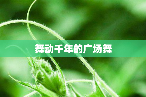 舞动千年的广场舞