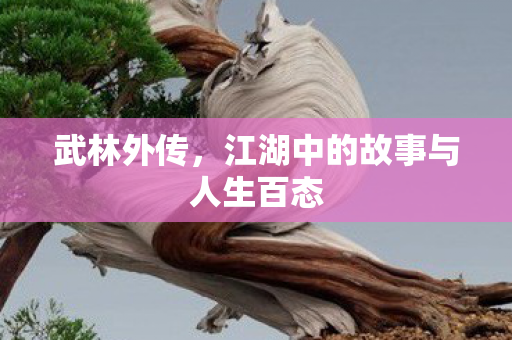 武林外传，江湖中的故事与人生百态