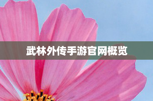 武林外传手游官网概览 武林外传手游官网概览