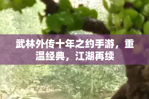 武林外传十年之约手游,重温经典,江湖再续 武林外传十年之约手游,重温经典,江湖再续