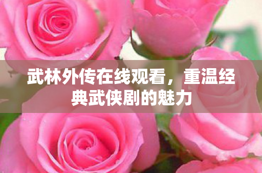 武林外传在线观看,重温经典武侠剧的魅力 武林外传在线观看,重温经典武侠剧的魅力