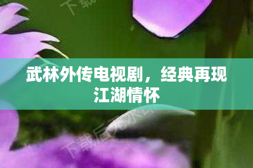 武林外传电视剧,经典再现江湖情怀 武林外传电视剧,经典再现江湖情怀