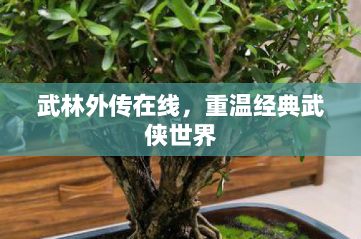 武林外传在线,重温经典武侠世界 武林外传在线,重温经典武侠世界