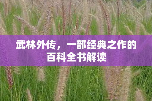 武林外传,一部经典之作的百科全书解读 武林外传,一部经典之作的百科全书解读