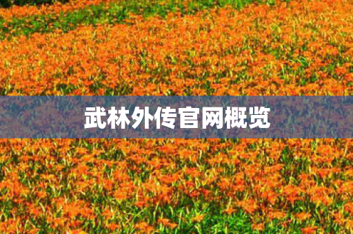 武林外传官网概览 武林外传官网概览