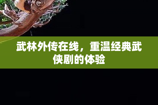 武林外传在线，重温经典武侠剧的体验