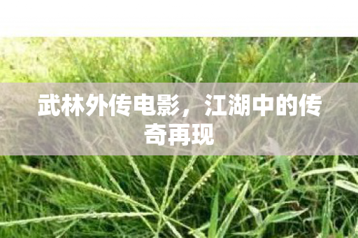 武林外传电影,江湖中的传奇再现 武林外传电影,江湖中的传奇再现