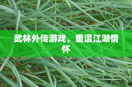 武林外传游戏,重温江湖情怀 武林外传游戏,重温江湖情怀