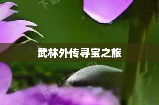 武林外传寻宝之旅 武林外传寻宝之旅