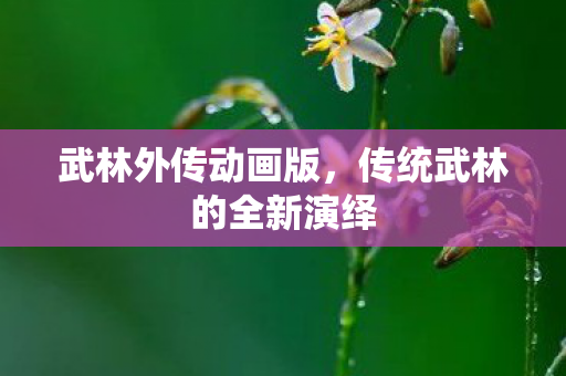 武林外传动画版,传统武林的全新演绎 武林外传动画版,传统武林的全新演绎