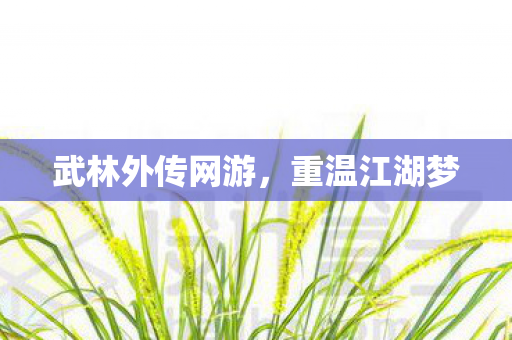 武林外传网游，重温江湖梦