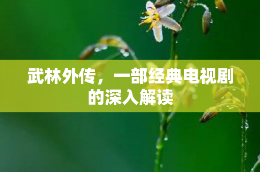 武林外传,一部经典电视剧的深入解读 武林外传,一部经典电视剧的深入解读