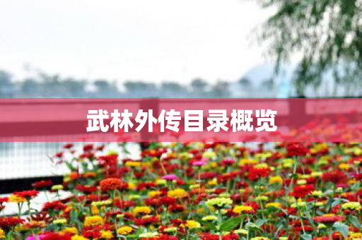 武林外传目录概览 武林外传目录概览