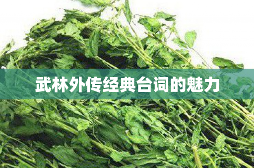 武林外传经典台词的魅力