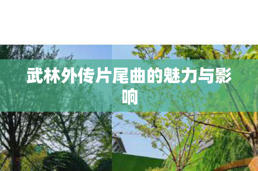武林外传片尾曲的魅力与影响 武林外传片尾曲的魅力与影响