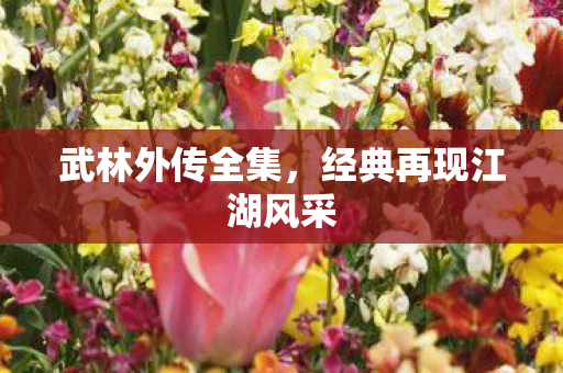 武林外传全集,经典再现江湖风采 武林外传全集,经典再现江湖风采