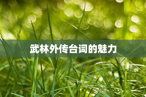 武林外传台词的魅力 武林外传台词的魅力