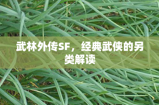 武林外传SF,经典武侠的另类解读 武林外传SF,经典武侠的另类解读