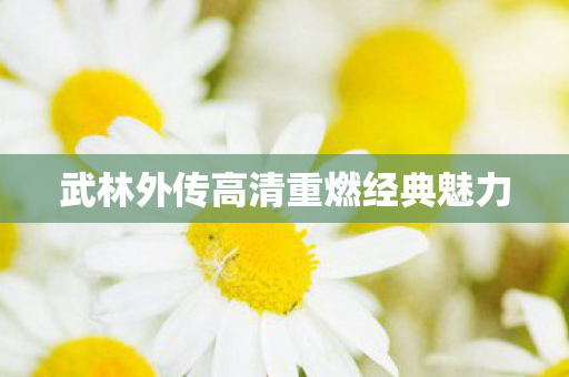 武林外传高清重燃经典魅力 武林外传高清重燃经典魅力